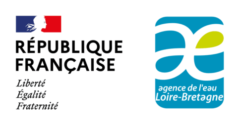 Image Not Found On Media Library