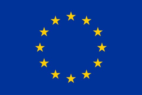 Image Not Found On Media Library